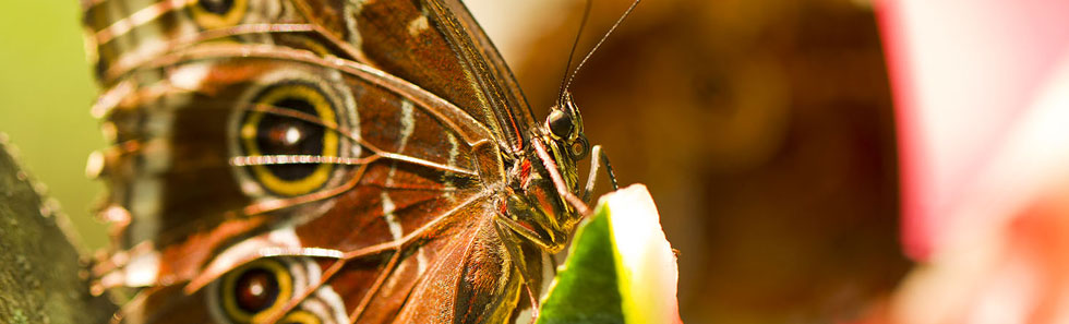 ddos攻击防御手段