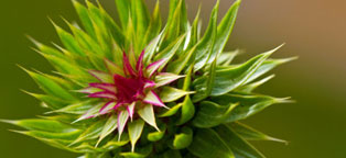 自动化监控的免费ddos平台攻击